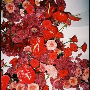 Meet your Posher, Janan